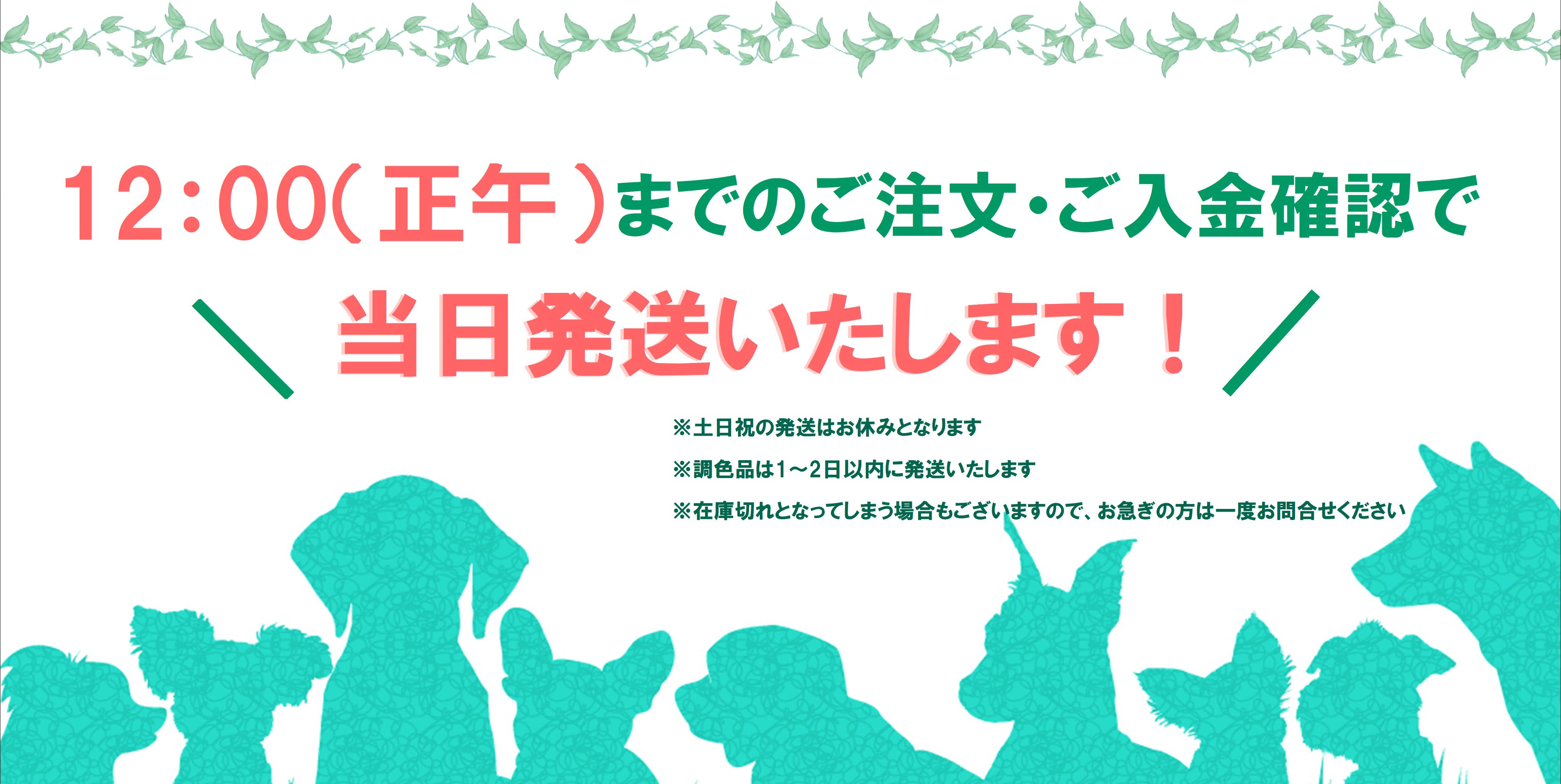 自動車補修塗料